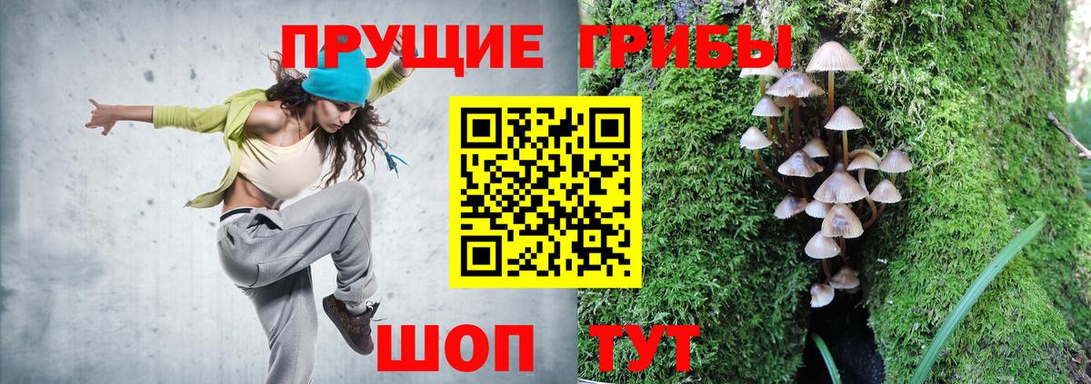 Галлюциногенные грибы мицелий  Вход с VPN  Коммунар 