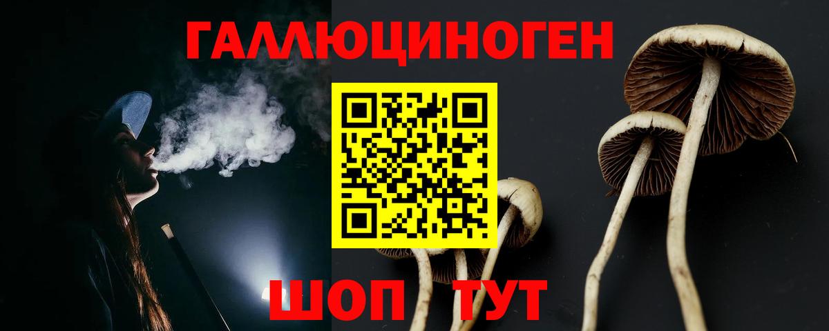 Галлюциногенные грибы мицелий Коммунар